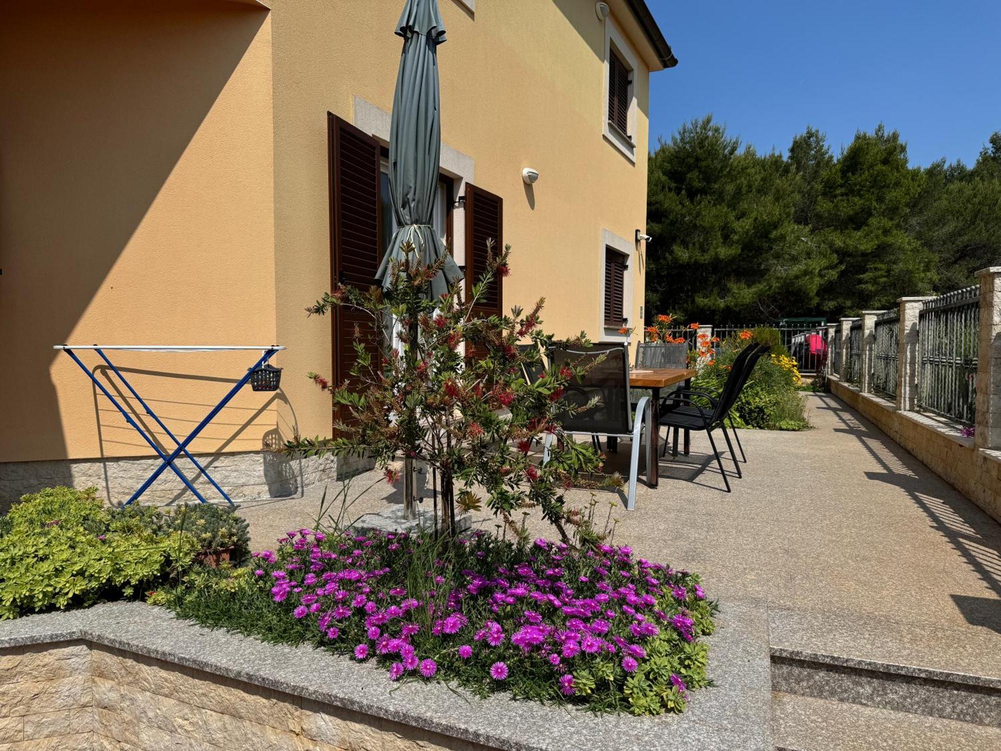 Villa Pineta Fažana Buitenkant foto